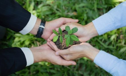 ISO 14001 en 2025: Actualización Clave para la Gestión Ambiental Empresarial.