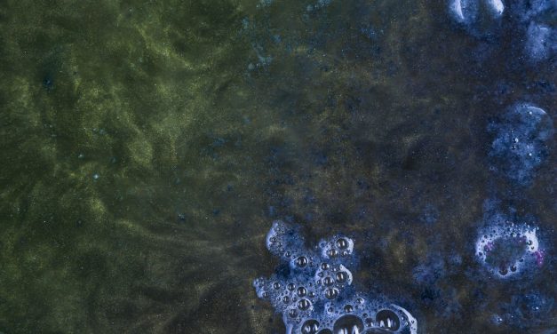 NOM-002-SEMARNAT-1996 [SM43]