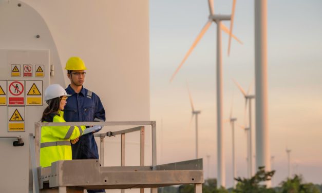 Producción más limpia (P+L) [SM58]